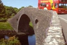 City Sightseeing Hop-On Hop-Off Bus Tour